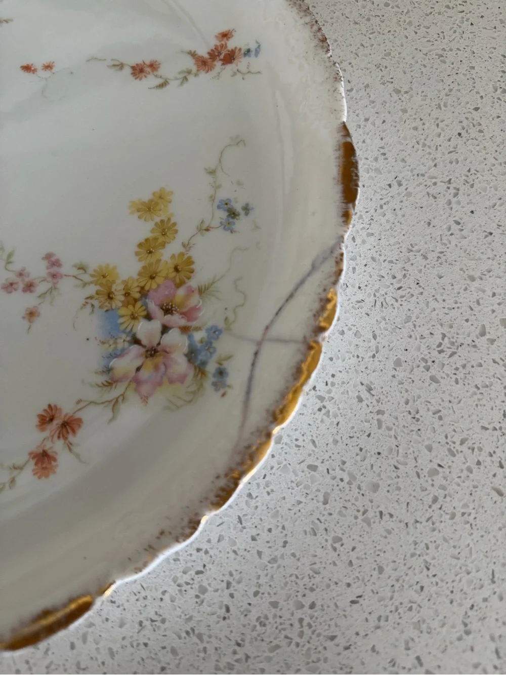 Antique Rosenthal R.C. Monbijou Bavaria Floral Dinner Plate Scalloped Gold Trim